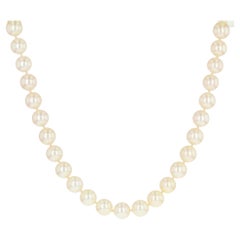Modern Cultured Pearl 18 Karat Yellow Gold Clasp Necklace