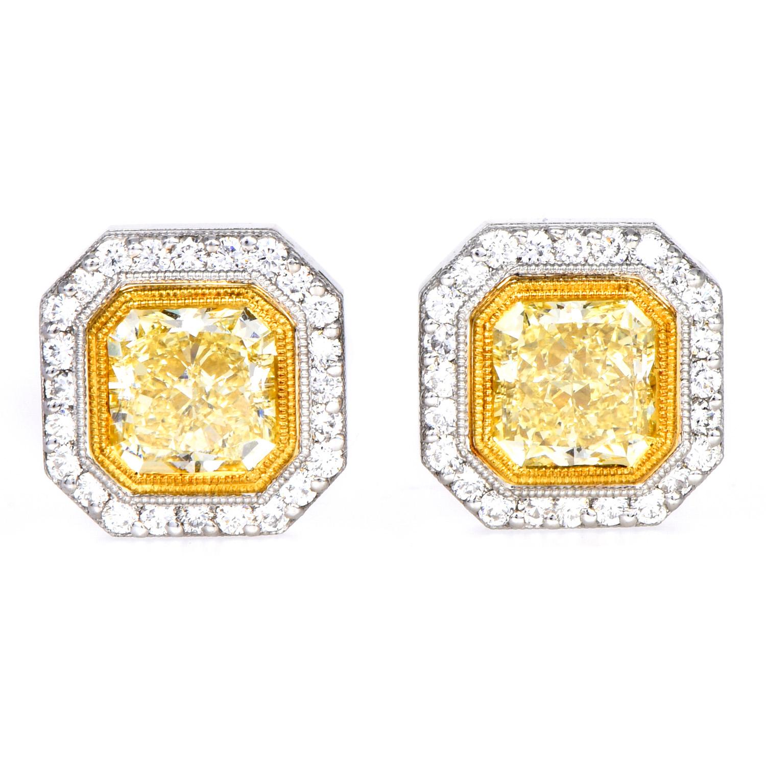 These opulent Yellow Natural Fancy Diamond and White Diamond

stud earrings, bring the classic look to a new level.

 Crafted in Platinum with 18K yellow gold accents. 

Features two vibrant natural intense yellow  Cushion-cut Diamond in the