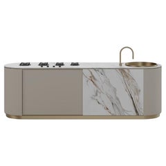 Cuisine d'extérieur en acier inoxydable élégante et personnalisable