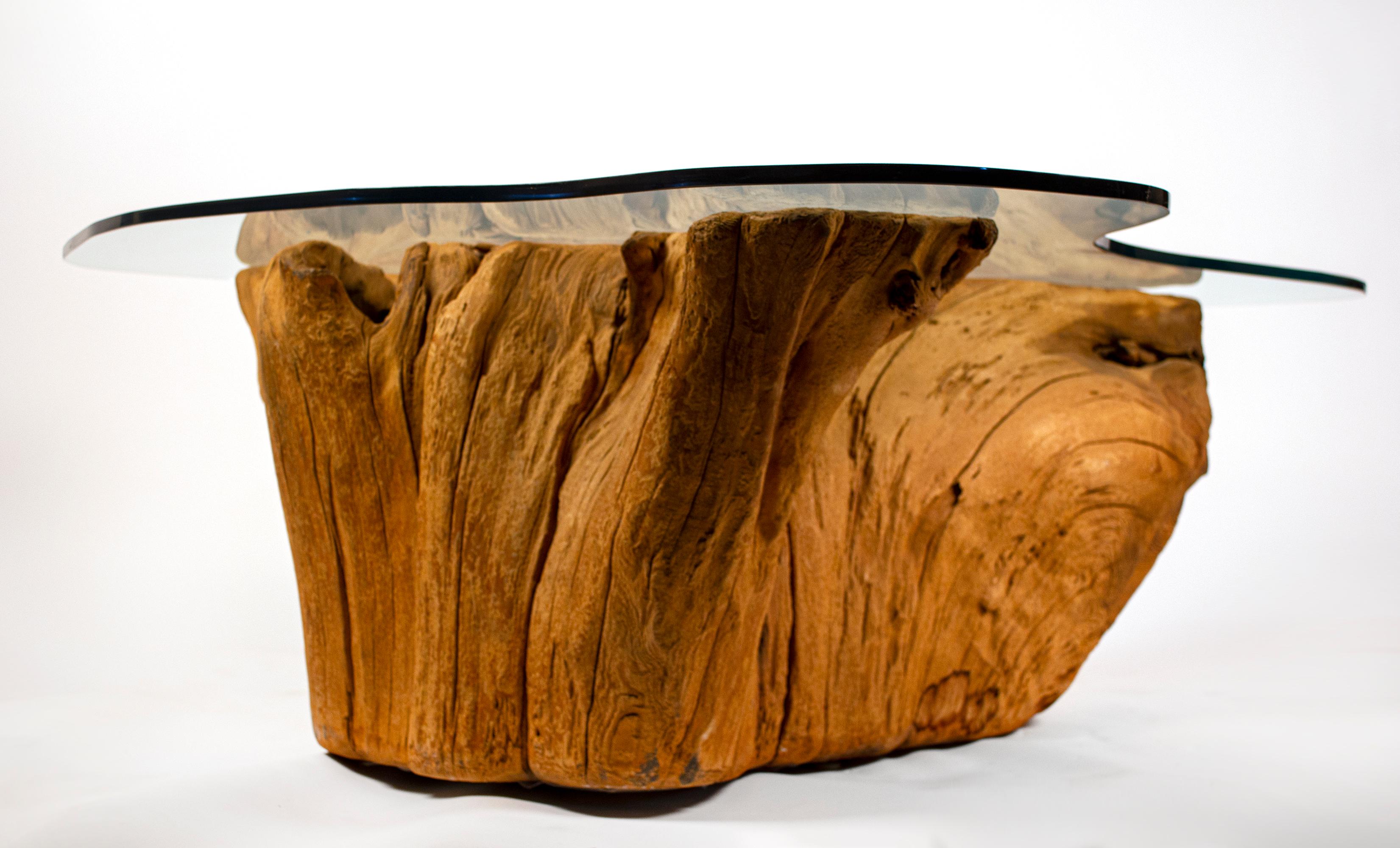 20th Century Modern Cypress Tree Trunk Coffee Table 1970s Sandblasted Organic Freeform Design