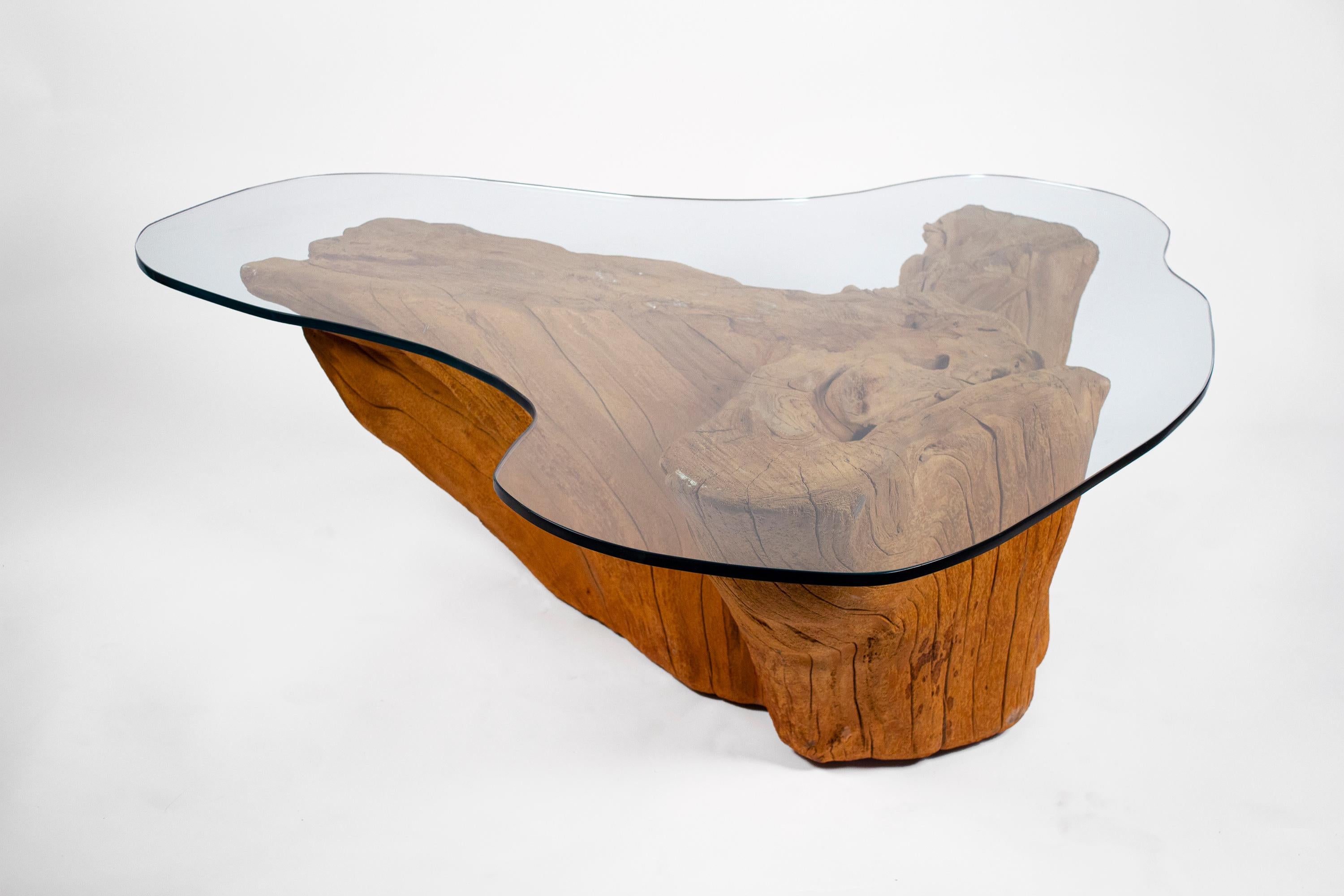 Glass Modern Cypress Tree Trunk Coffee Table 1970s Sandblasted Organic Freeform Design