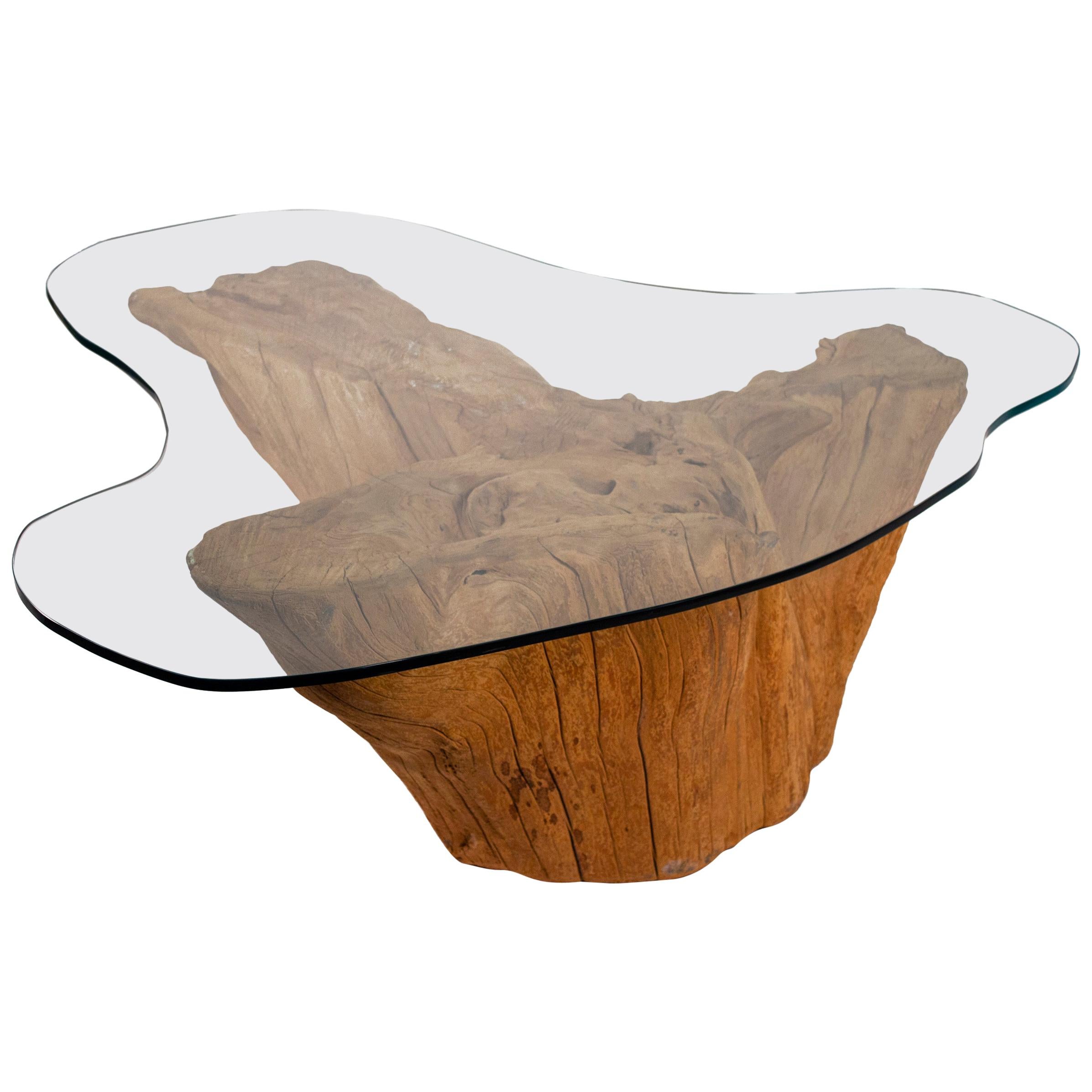 Modern Cypress Tree Trunk Coffee Table 1970s Sandblasted Organic Freeform Design