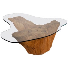 Modern Cypress Tree Trunk Coffee Table 1970s Sandblasted Organic Freeform Design