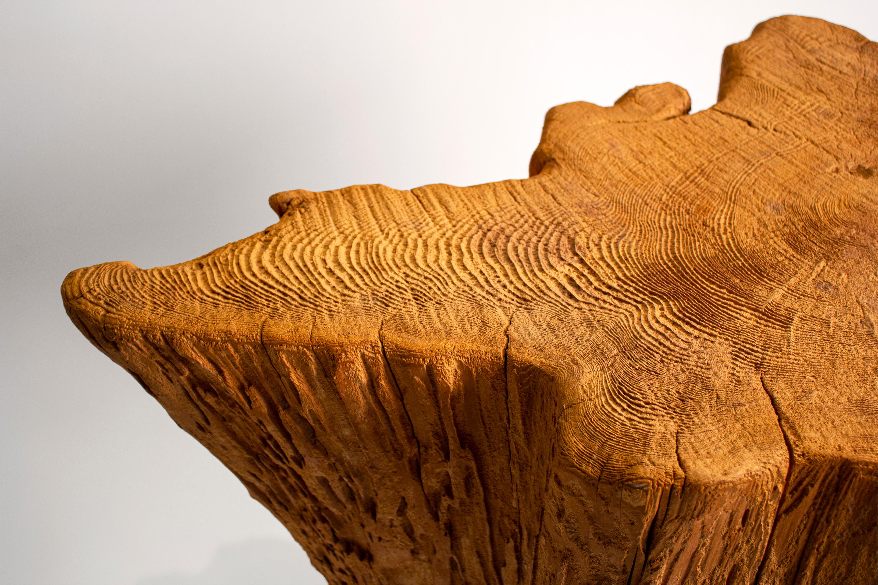 round glass table with tree trunk base