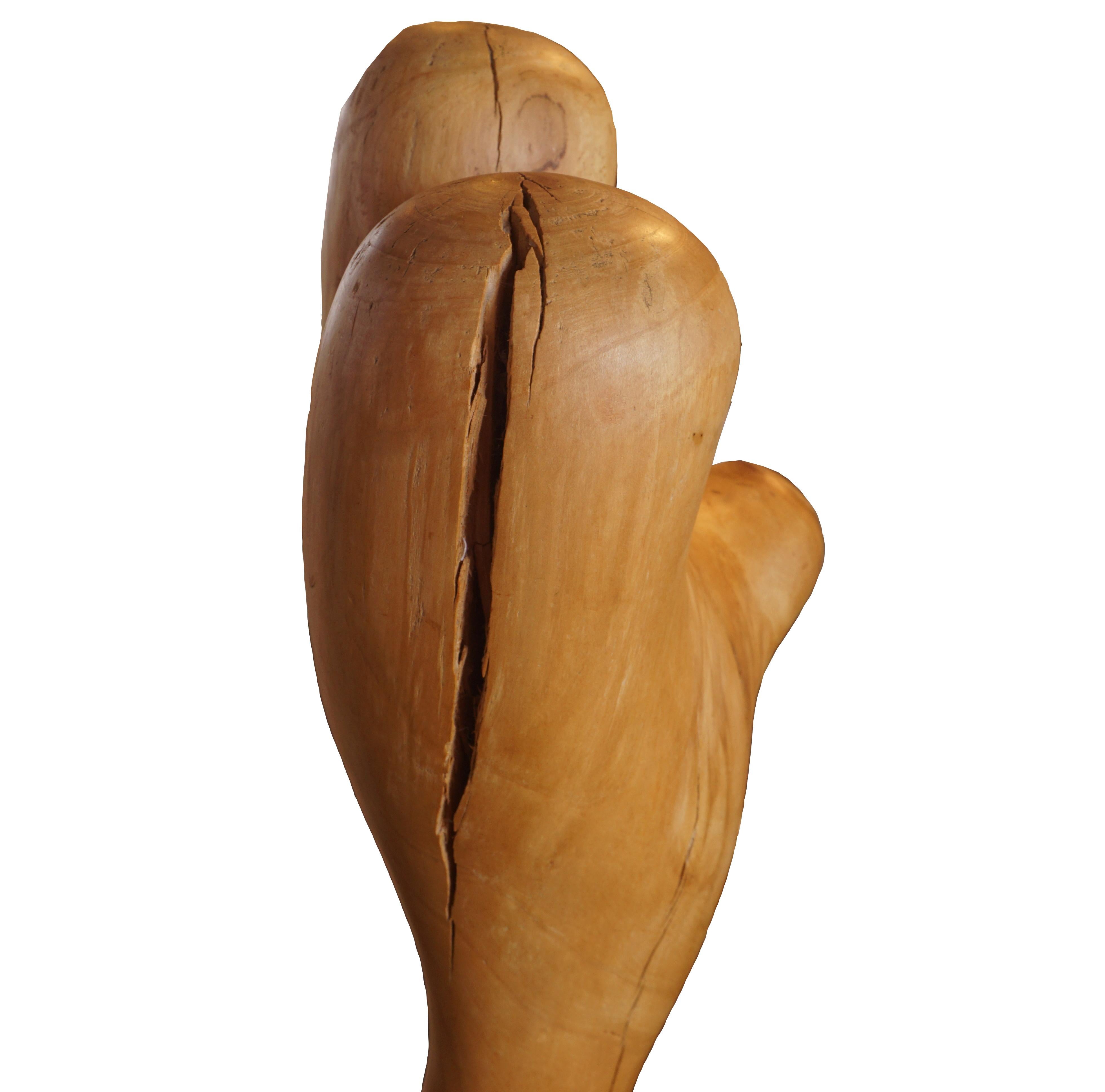 Late 20th Century Modern Danish Organic Beech Sculpture by Ulrika Marseen Signed and Dated 1984 For Sale