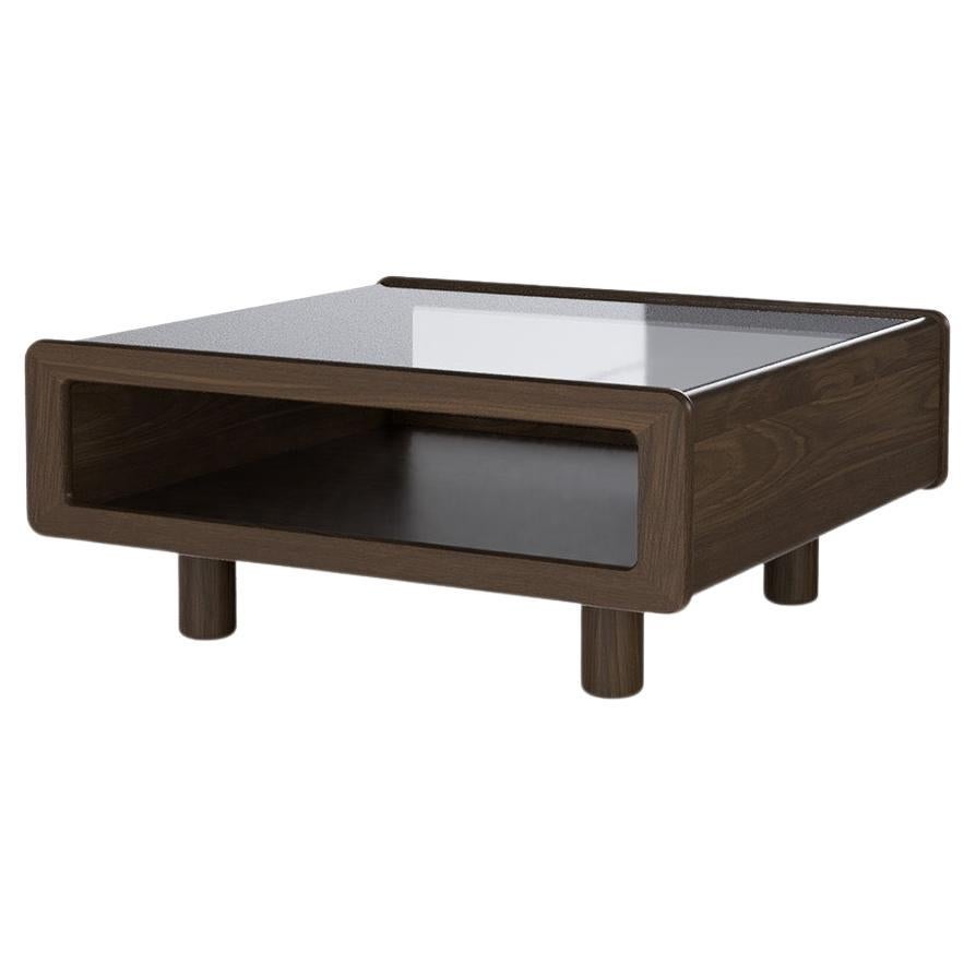 Modern Display Top Coffee Table