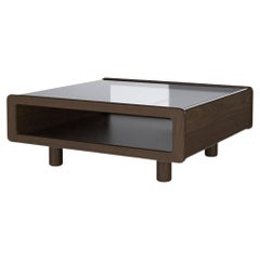 Modern Display Top Coffee Table