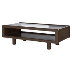 Modern Display Top Coffee Table
