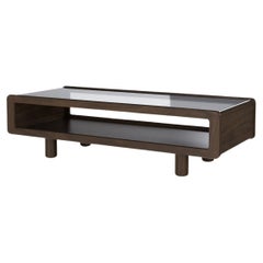 Modern Display Top Coffee Table