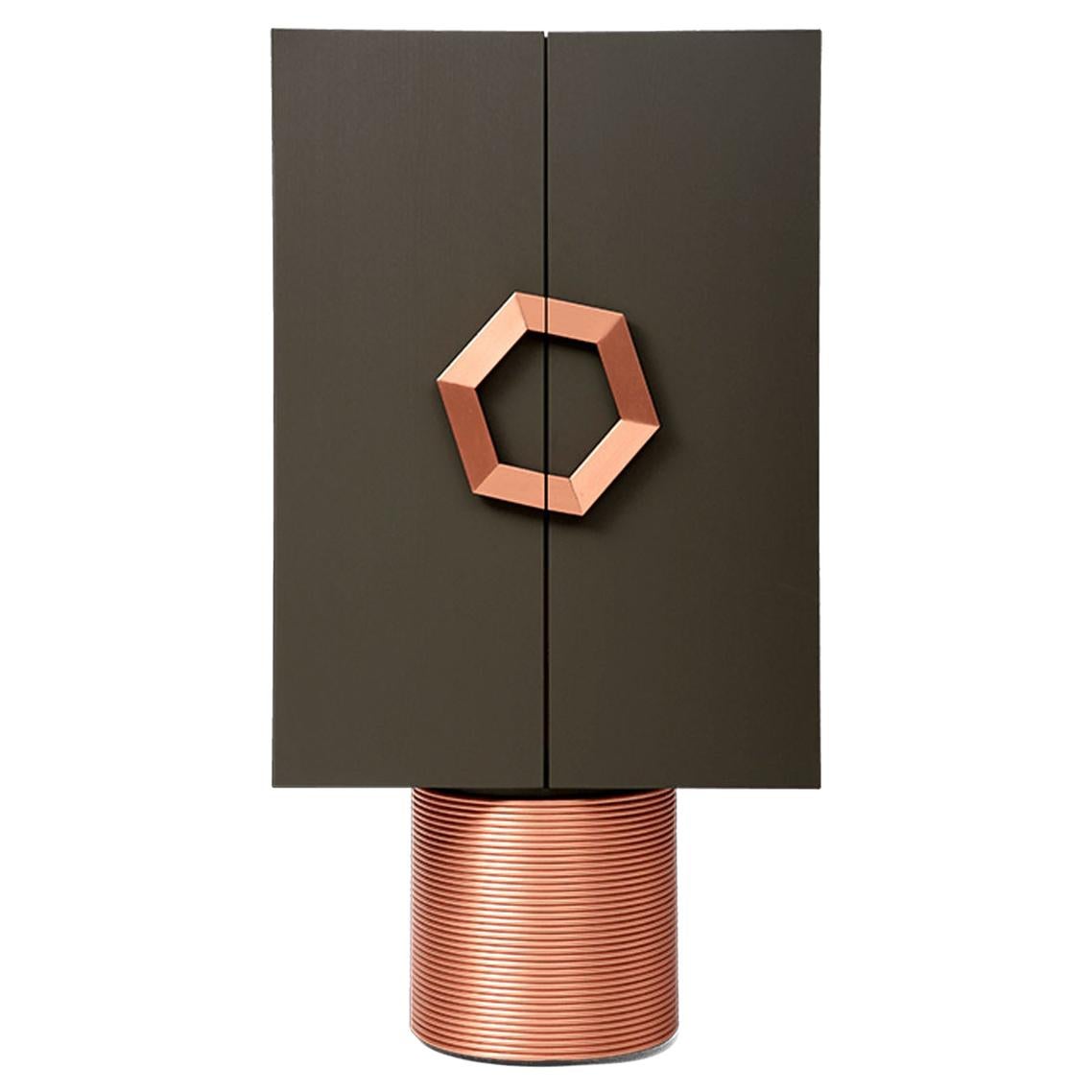 Contemporary Grey, Black, White Cabinet with Copper, Brass base