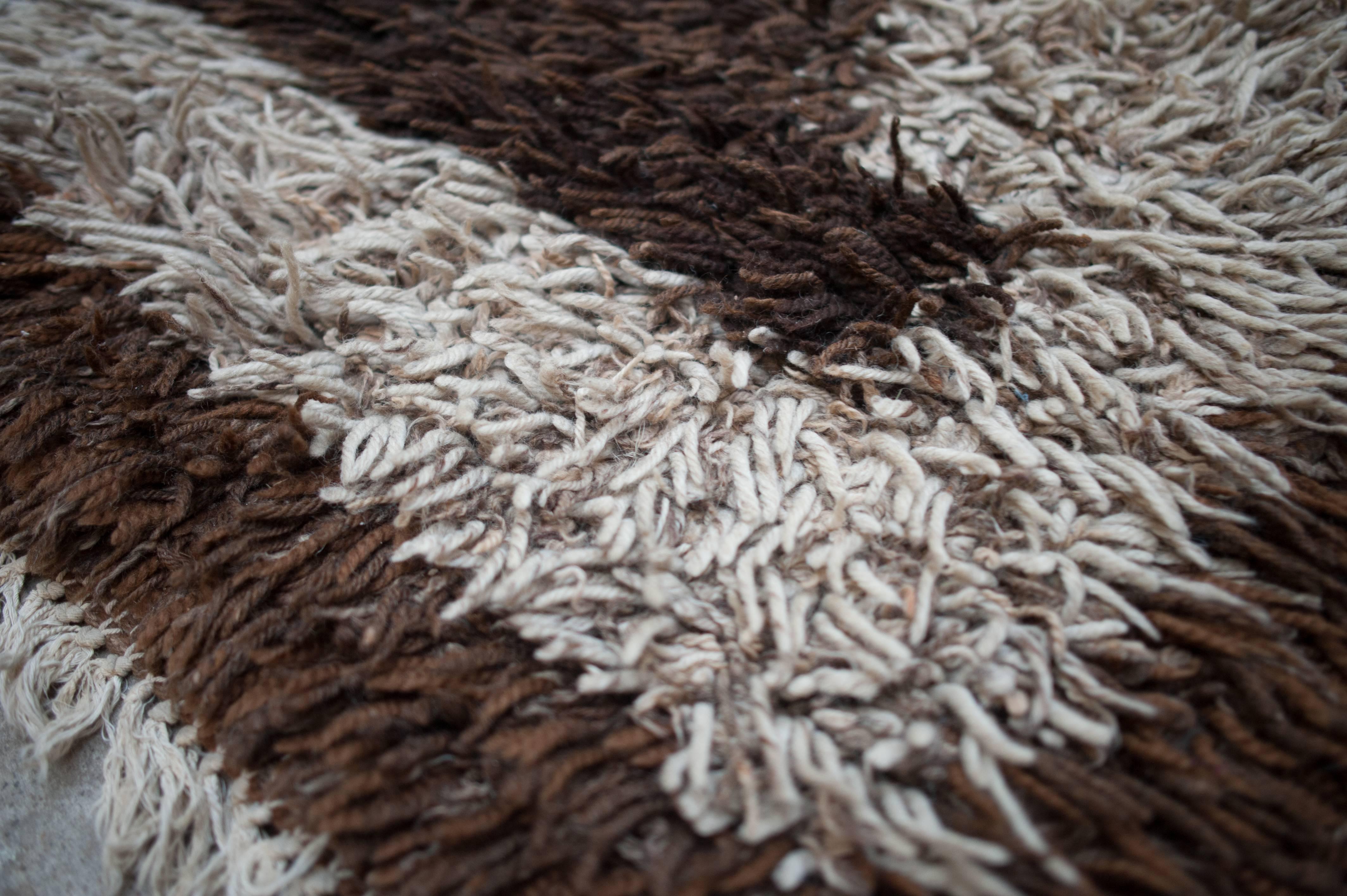 Late 20th Century Modern Dutch Design High-Pile Wool Carpet, Tapestry, 1970s