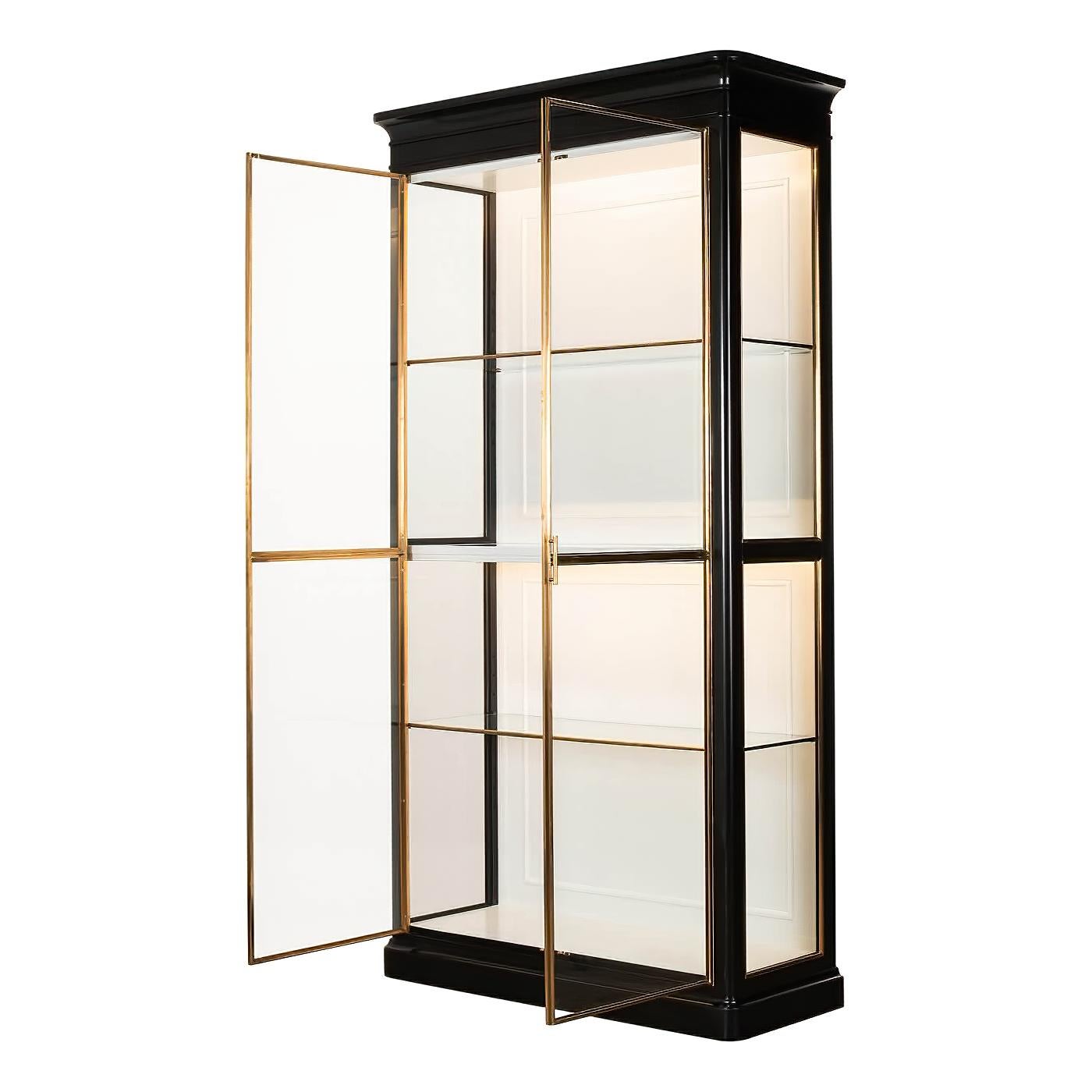Modern Ebonized Glass Door Bookcase For Sale at 1stDibs glass