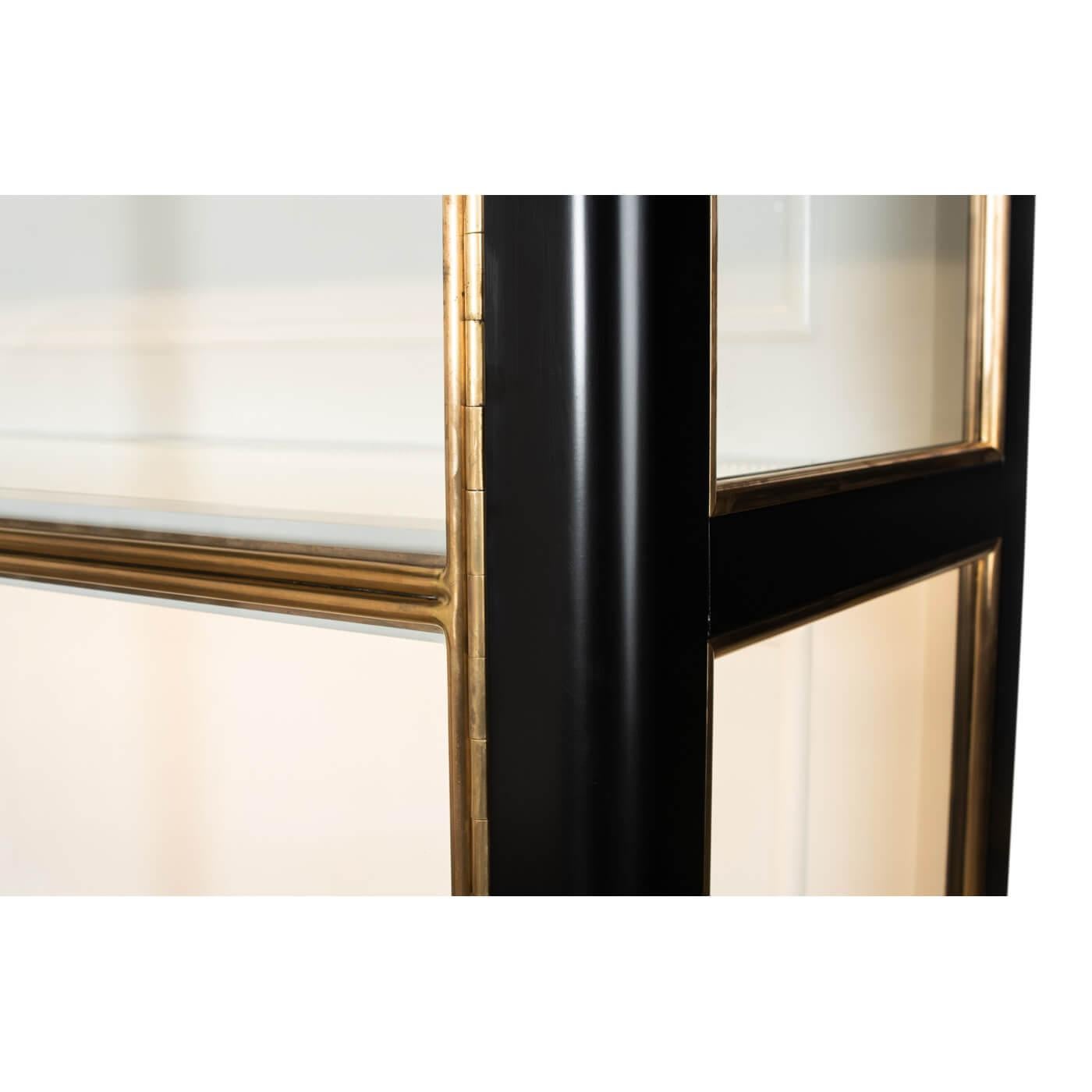 Neoclassical Modern Ebonized Glass Door Bookcase For Sale