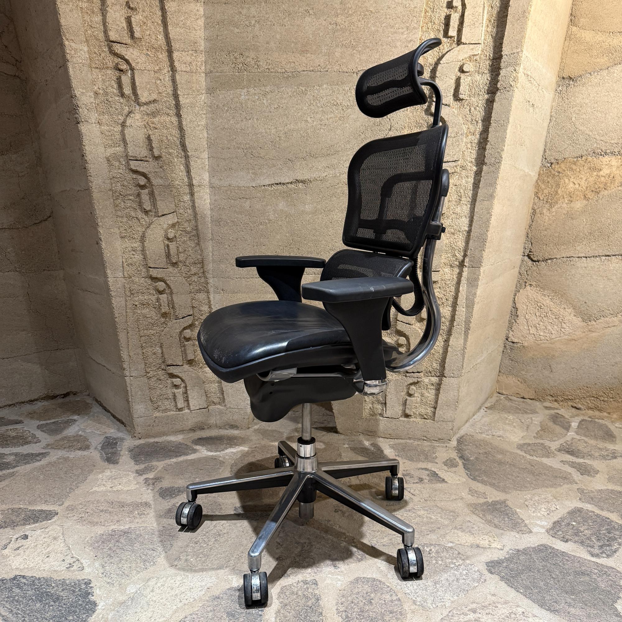 Moderner ergonomischer Leder-Bürostuhl Raynor Ergohuman Lem4erg (Unbekannt) im Angebot