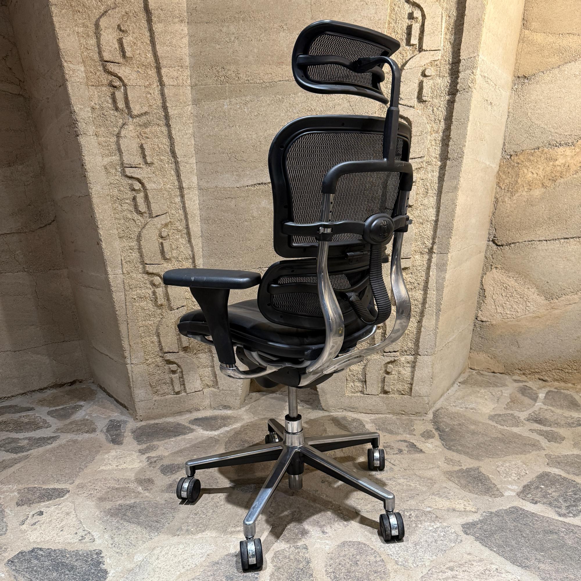 Moderner ergonomischer Leder-Bürostuhl Raynor Ergohuman Lem4erg (Patiniert) im Angebot