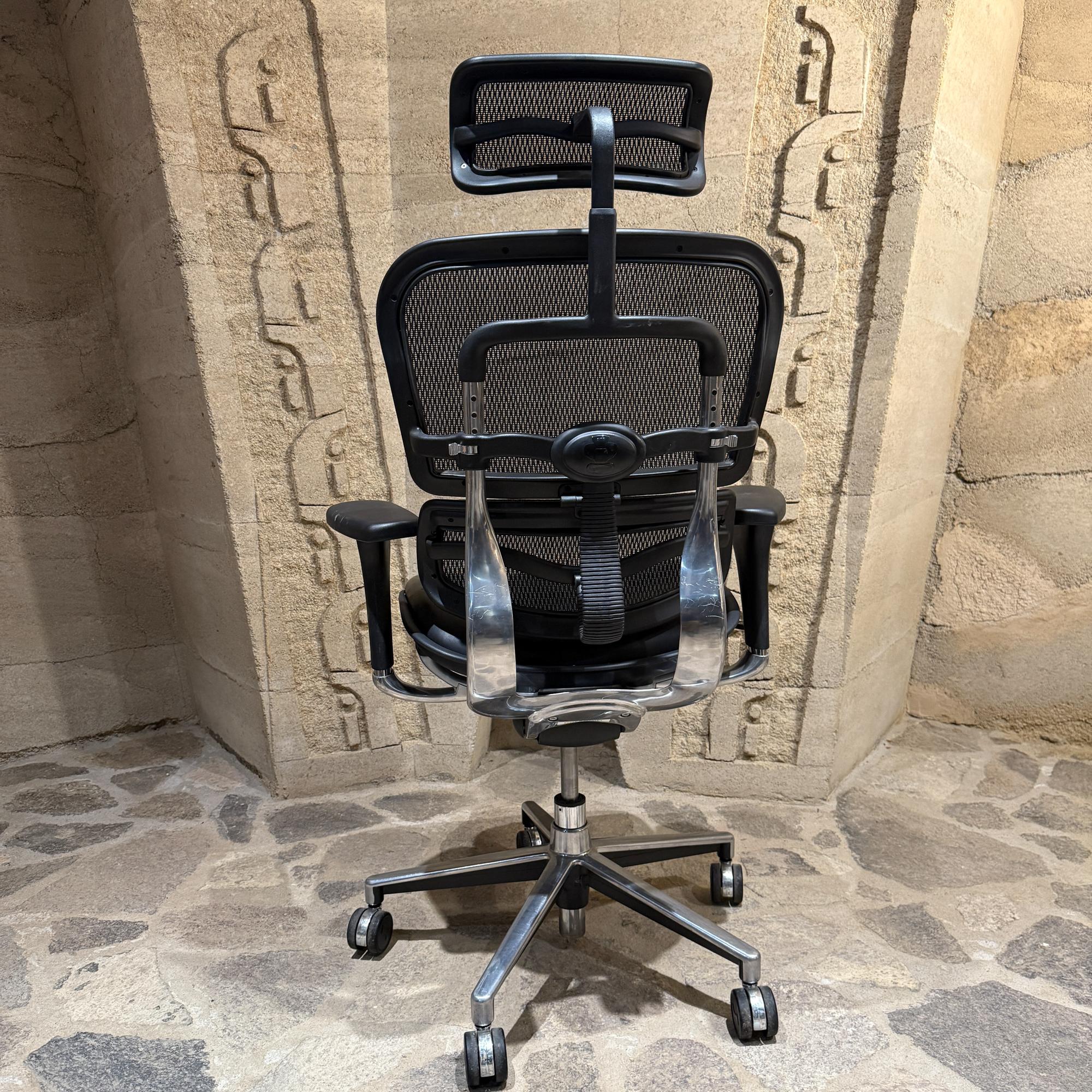 Moderner ergonomischer Leder-Bürostuhl Raynor Ergohuman Lem4erg im Zustand „Gut“ im Angebot in Chula Vista, CA