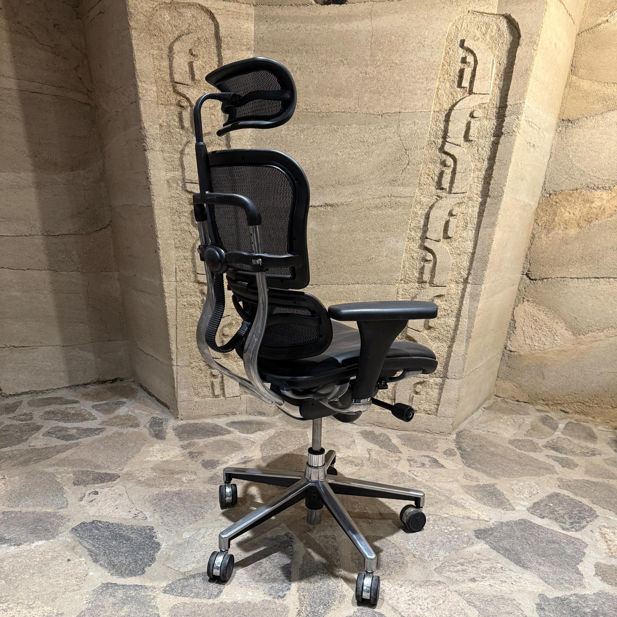 Moderner ergonomischer Leder-Bürostuhl Raynor Ergohuman Lem4erg (Stahl) im Angebot