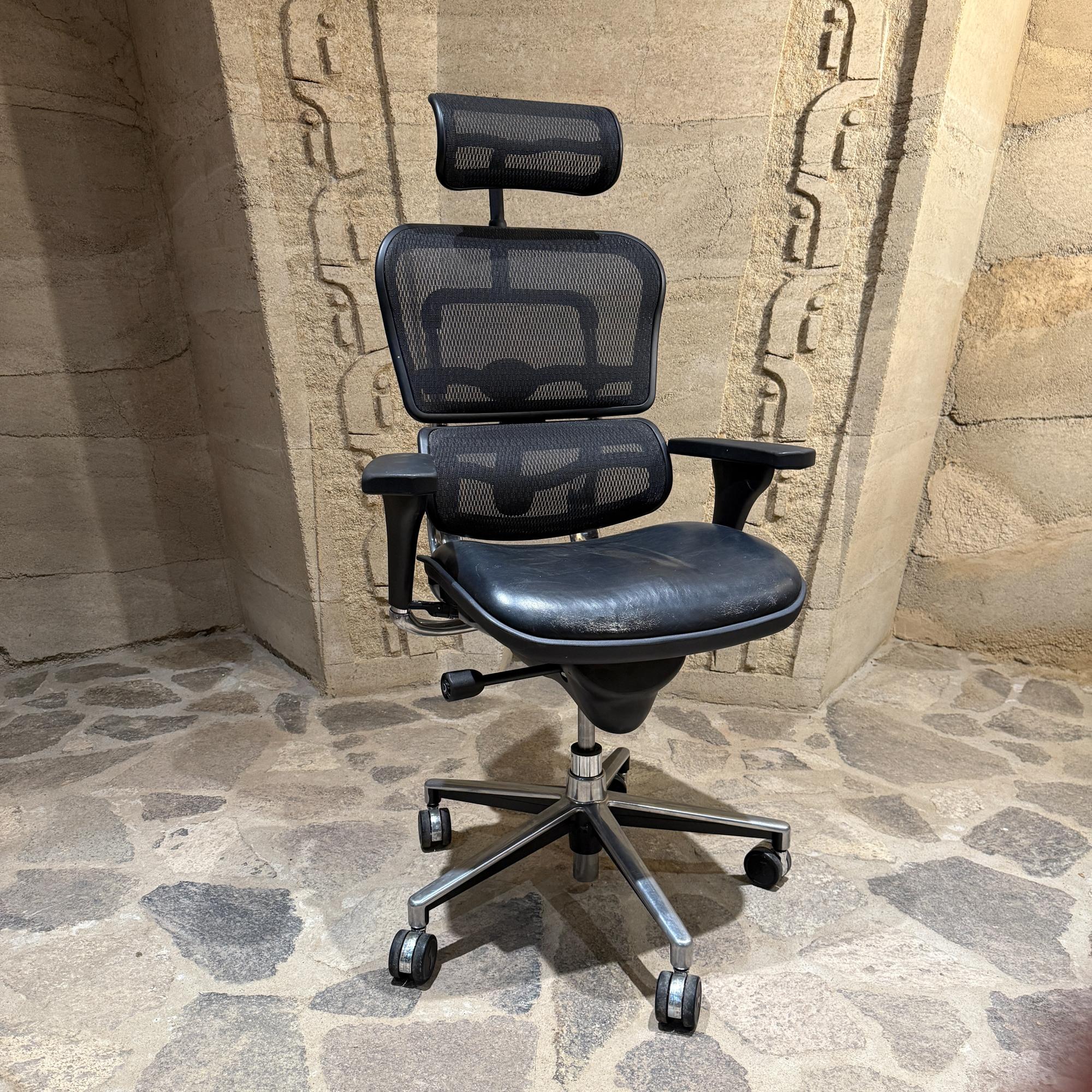 Moderner ergonomischer Leder-Bürostuhl Raynor Ergohuman Lem4erg im Angebot 1