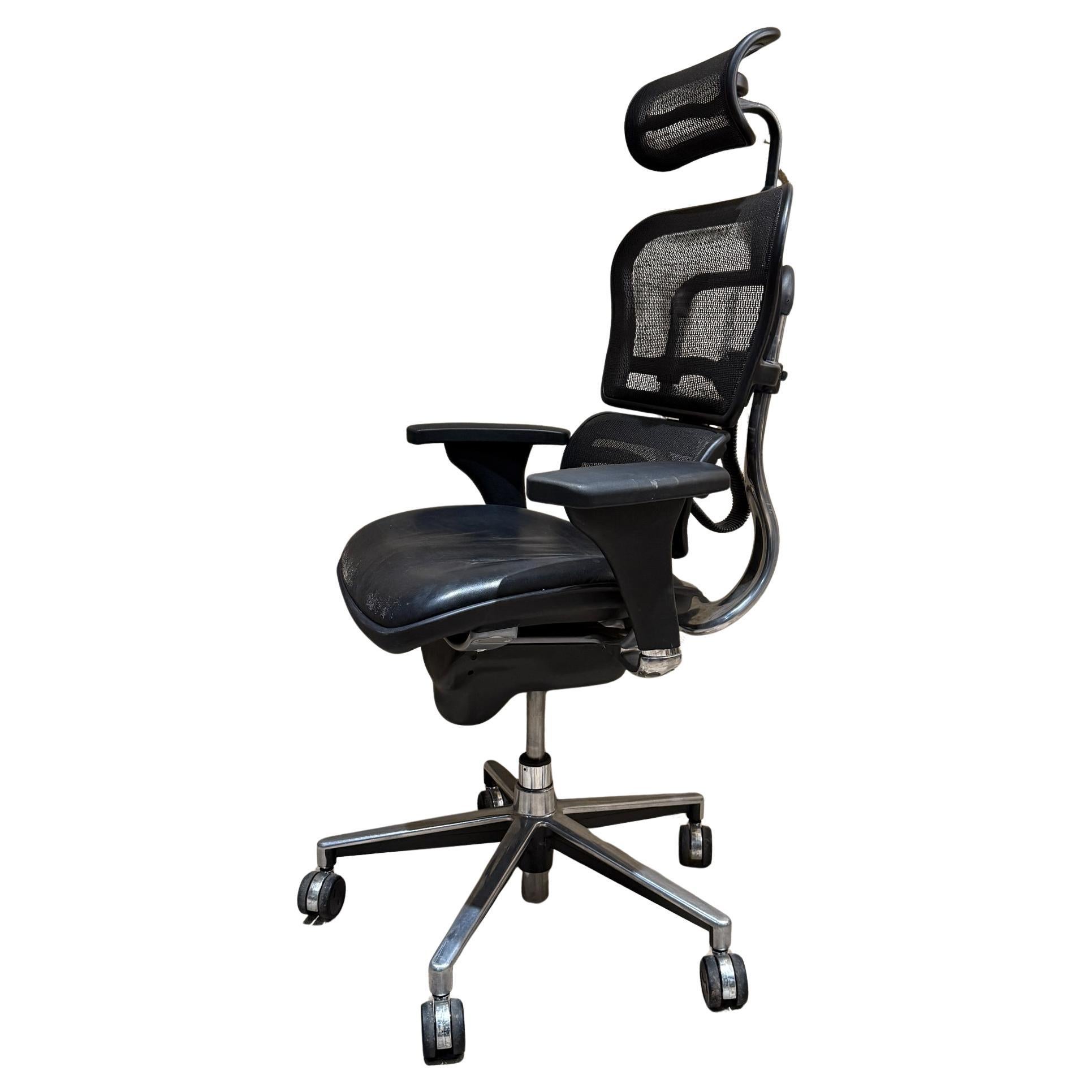Moderner ergonomischer Leder-Bürostuhl Raynor Ergohuman Lem4erg im Angebot