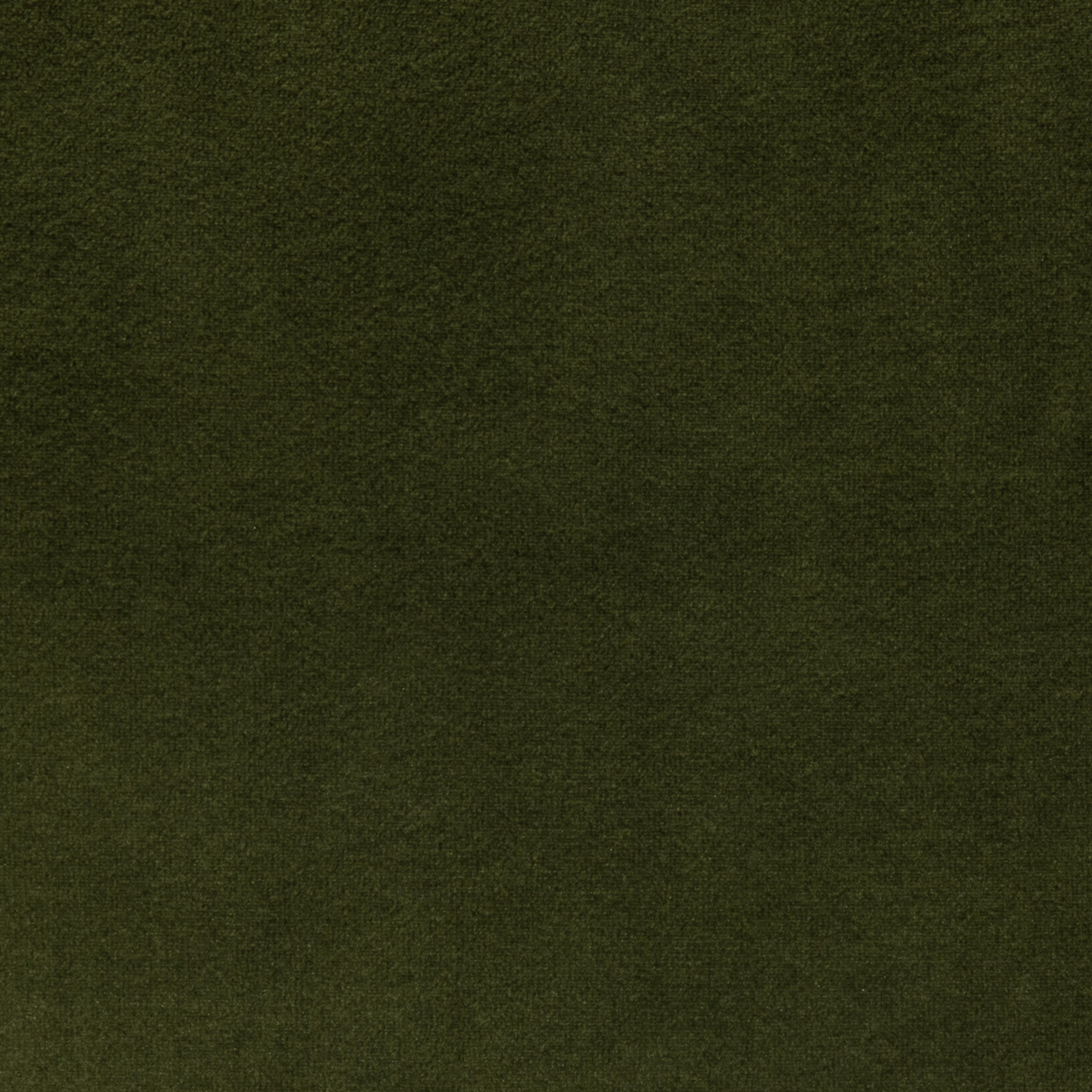 Moderno Cuscino decorativo in velluto Evergreen di MOGUL in vendita