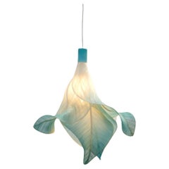 Chandeliers and Pendants