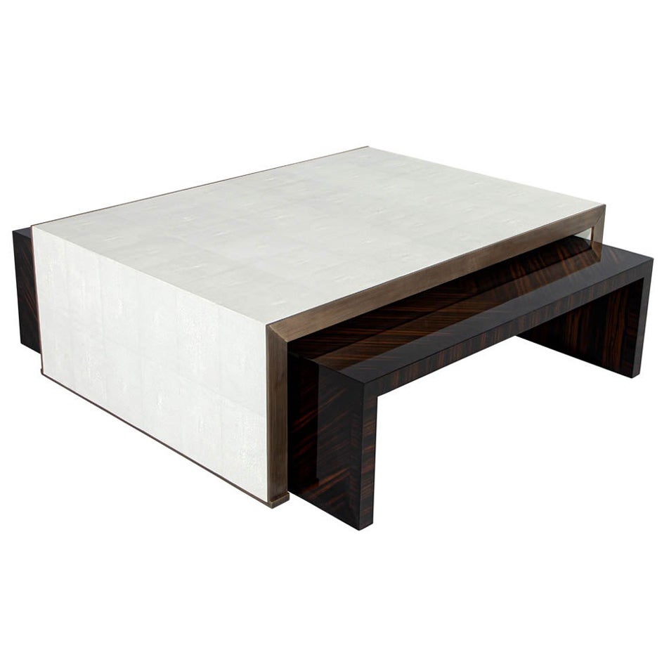 Mesa de centro moderna de piel sintética con mesas nido de Macassar