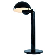 Modern Floor Lamp Iron Shiny Blackened, Led