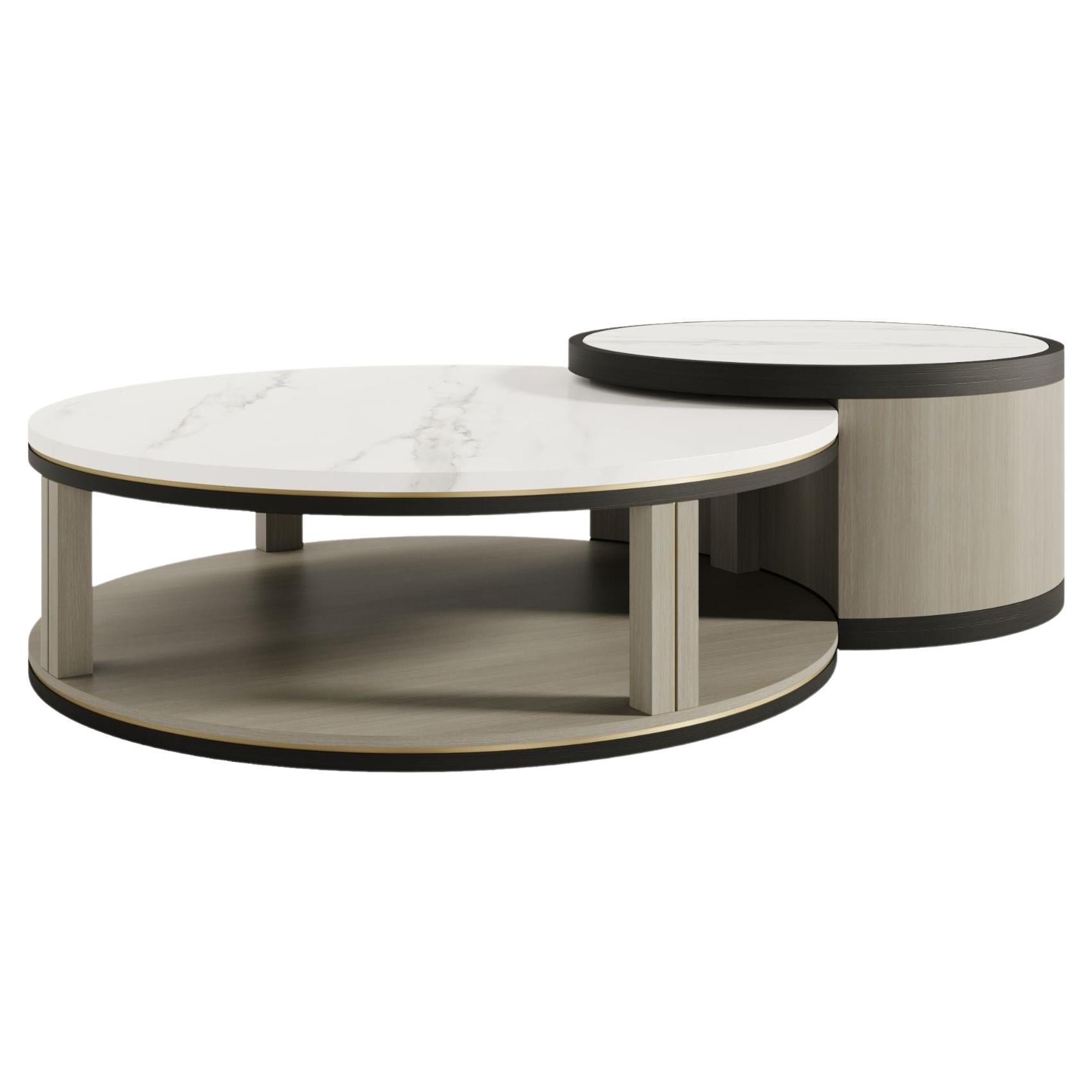 Modern FUSION Coffee Table with Estremoz Marble Top and Wood Veneer