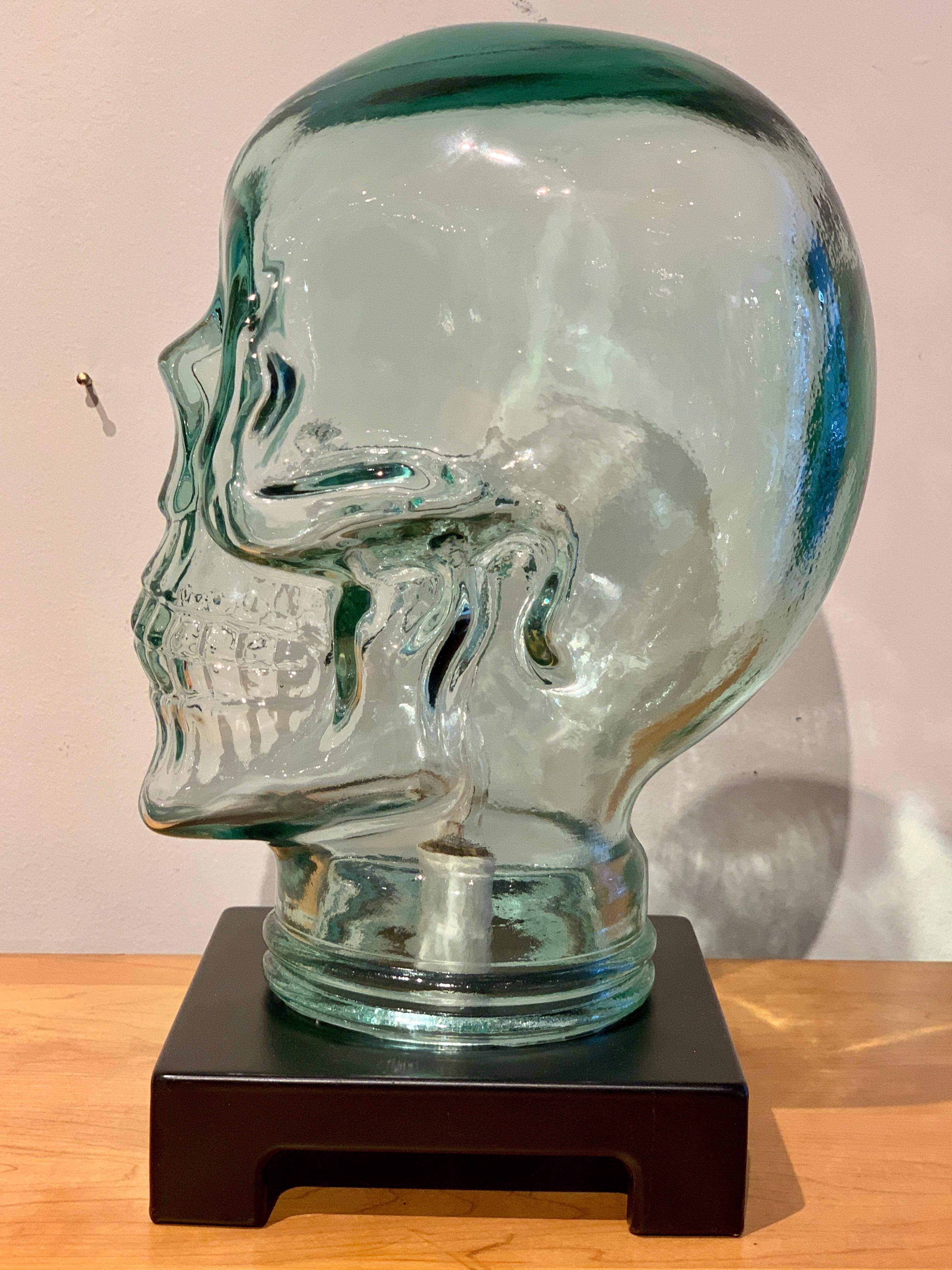 glass skull light