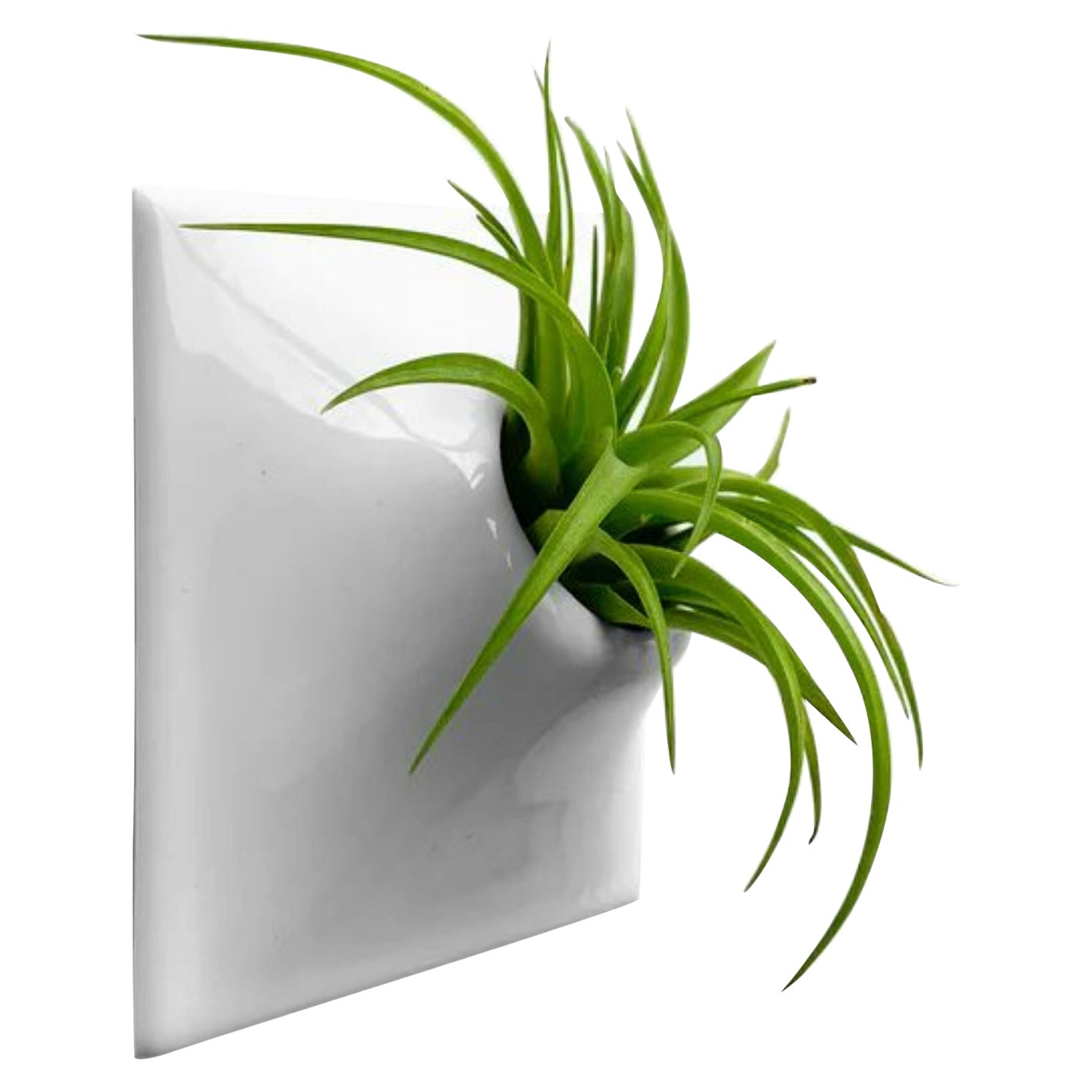 Modern Gray Wall Planter, Sculpture, Mid Century Modern Decor, Node 6" Small, L For Sale