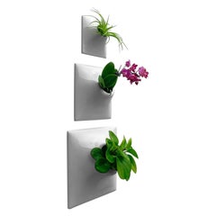 Modern Gray Wall Planter Set, Mid Century Modern Decor, Plant Wall Art, Node TPM