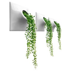 Modern Gray Wall Planter Set, Plant Wall Art, Wall Sculpture, Node 9" Medium, L