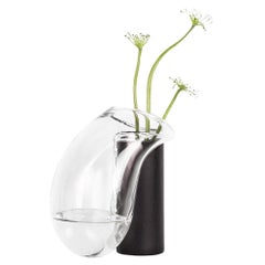 Modern Gutta Boon Vase CS1 by Noom in Blown Transparent Glass and Oak Base
