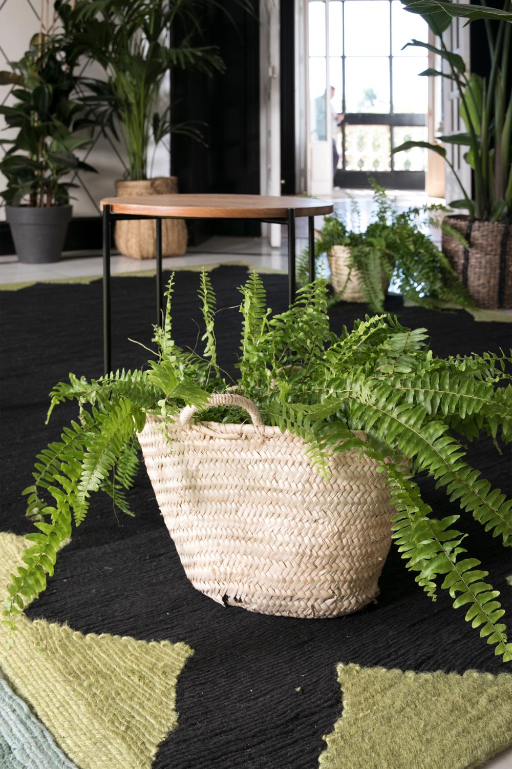 Modern Handwoven Polypropylene Outdoor Rug Carpet Green&Black Gelato For Sale 6