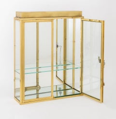Moderne beleuchtete Vitrine aus Messing und Glas
