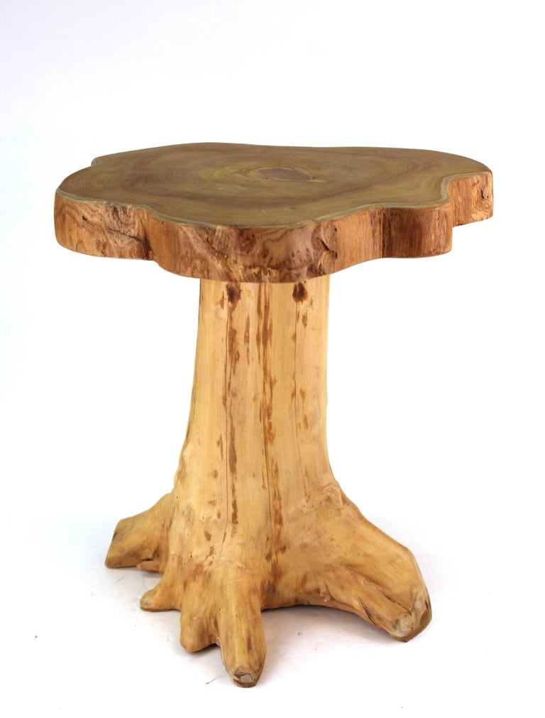 Modern Indonesian Wood Tree Trunk Side Table For Sale At 1stdibs