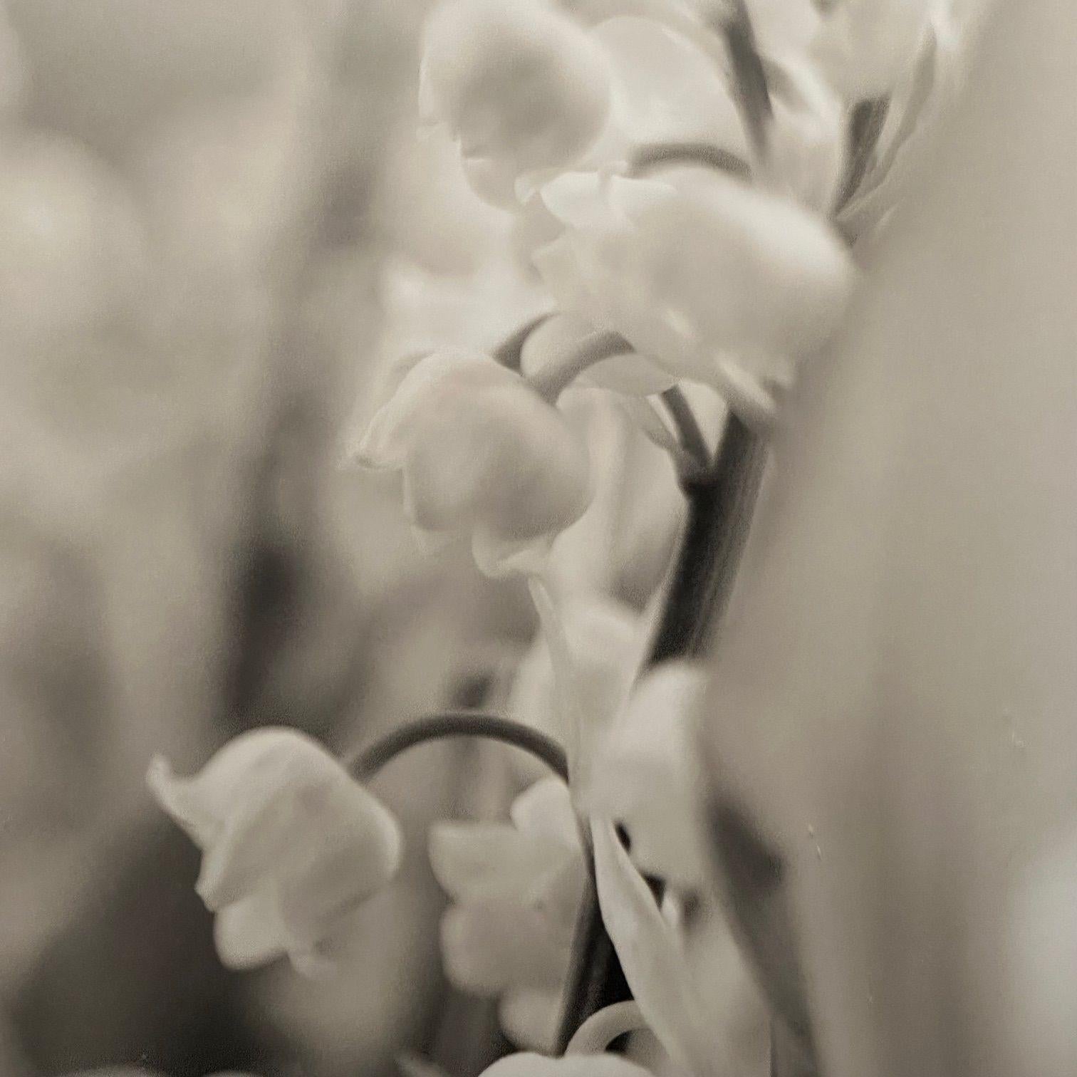 Modern, Large Black and White Photographs, Floral Still Life, Framed, 1990s For Sale 6