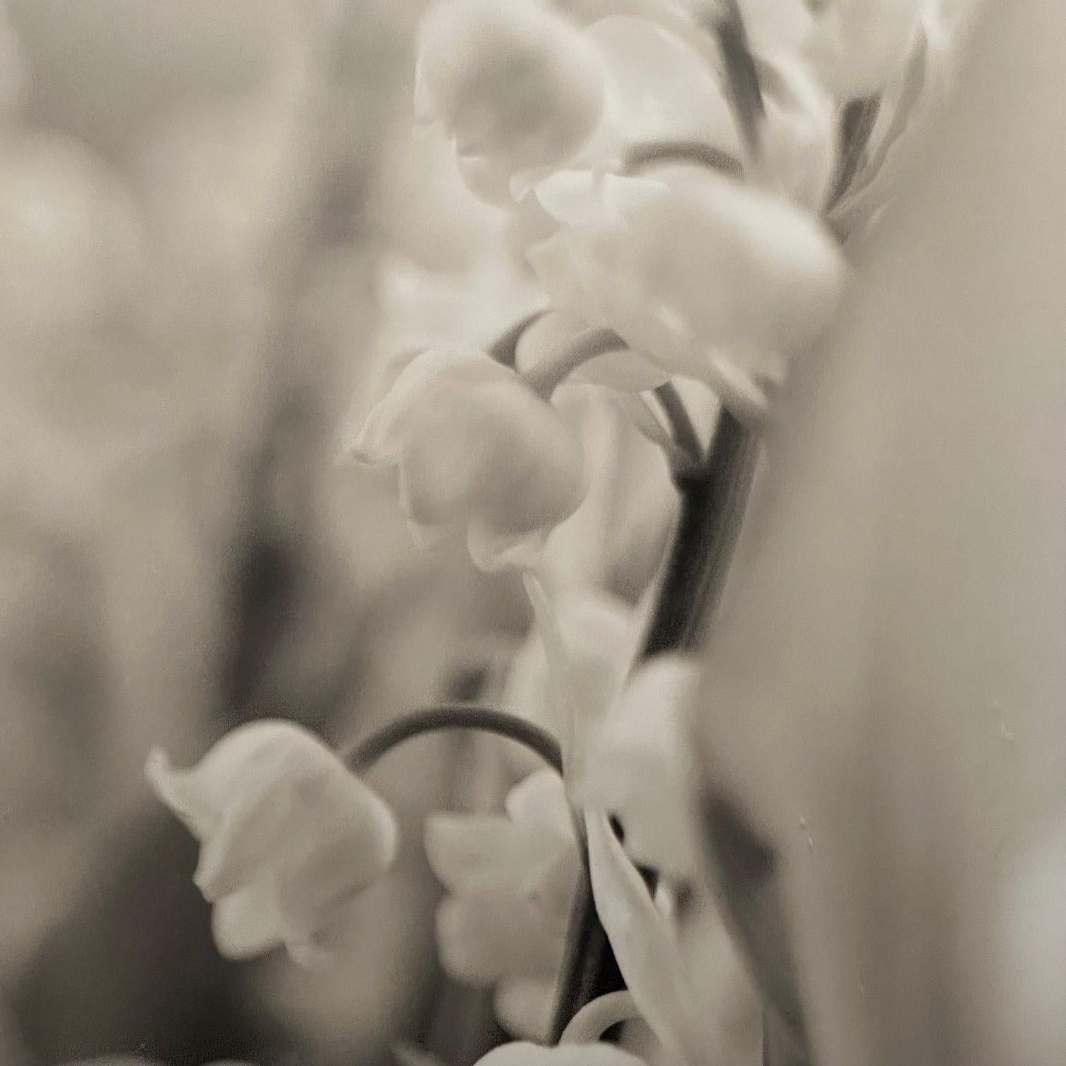 Fotografie moderne in bianco e nero di grandi dimensioni, natura morta floreale, con cornice, anni '90 in vendita 5