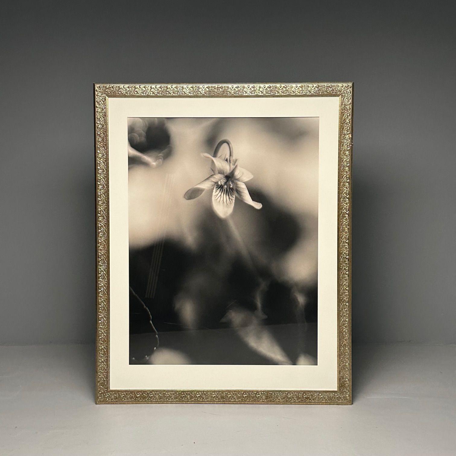 American Modern, Large Black and White Photographs, Floral Still Life, Framed, 1990s For Sale