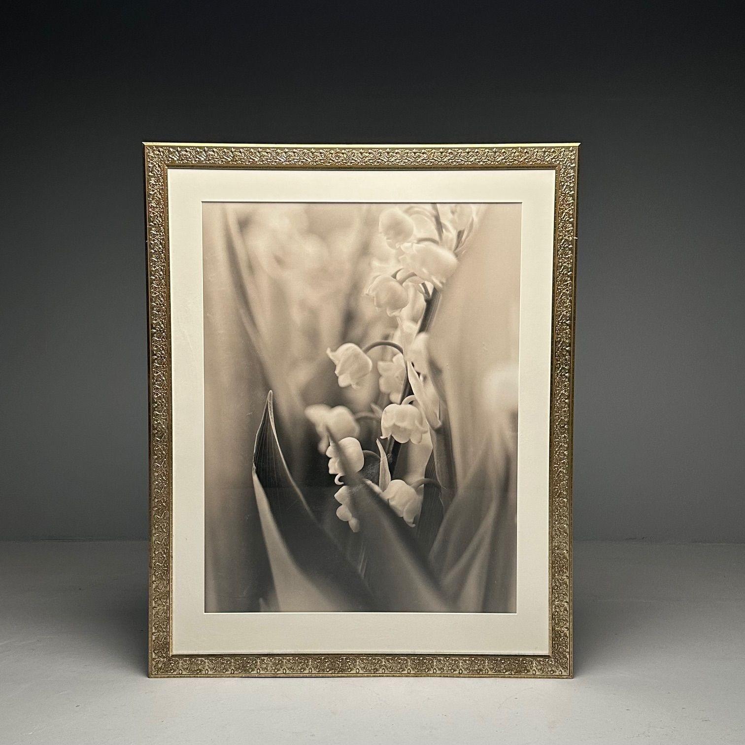 Modern, Large Black and White Photographs, Floral Still Life, Framed, 1990s In Good Condition For Sale In Stamford, CT