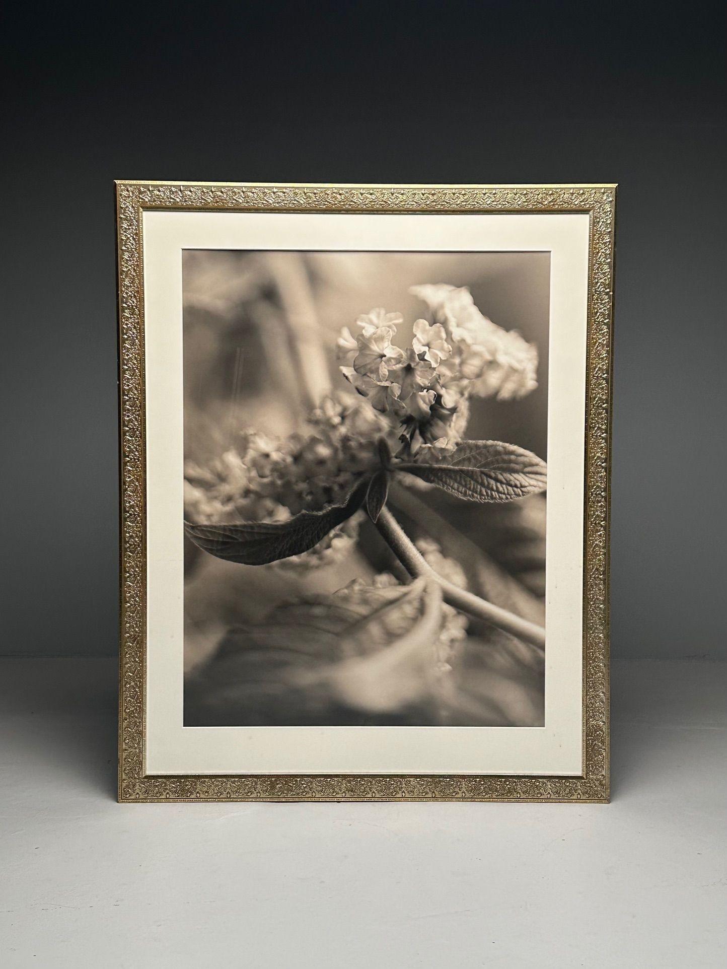 Late 20th Century Modern, Large Black and White Photographs, Floral Still Life, Framed, 1990s For Sale