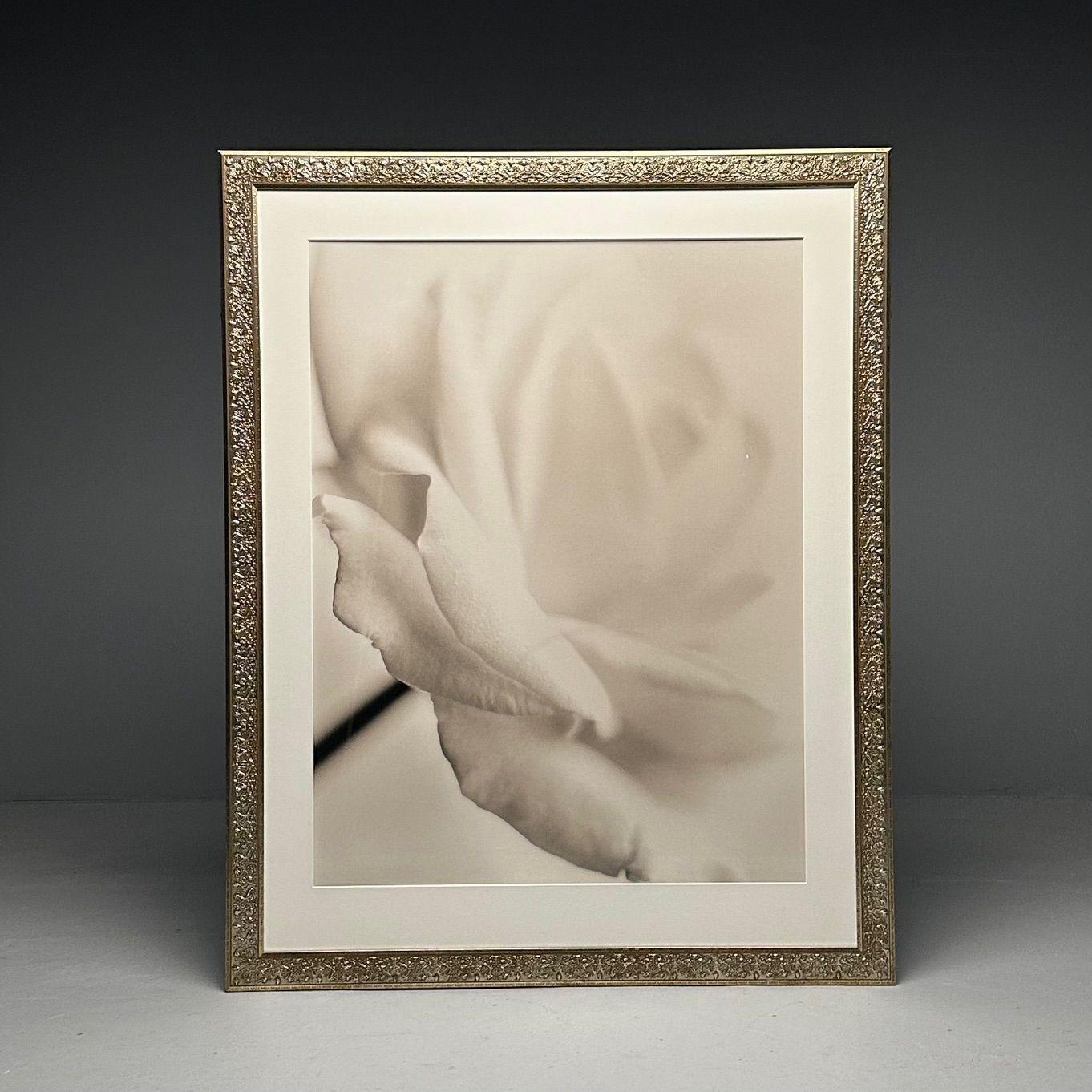 Glass Modern, Large Black and White Photographs, Floral Still Life, Framed, 1990s For Sale