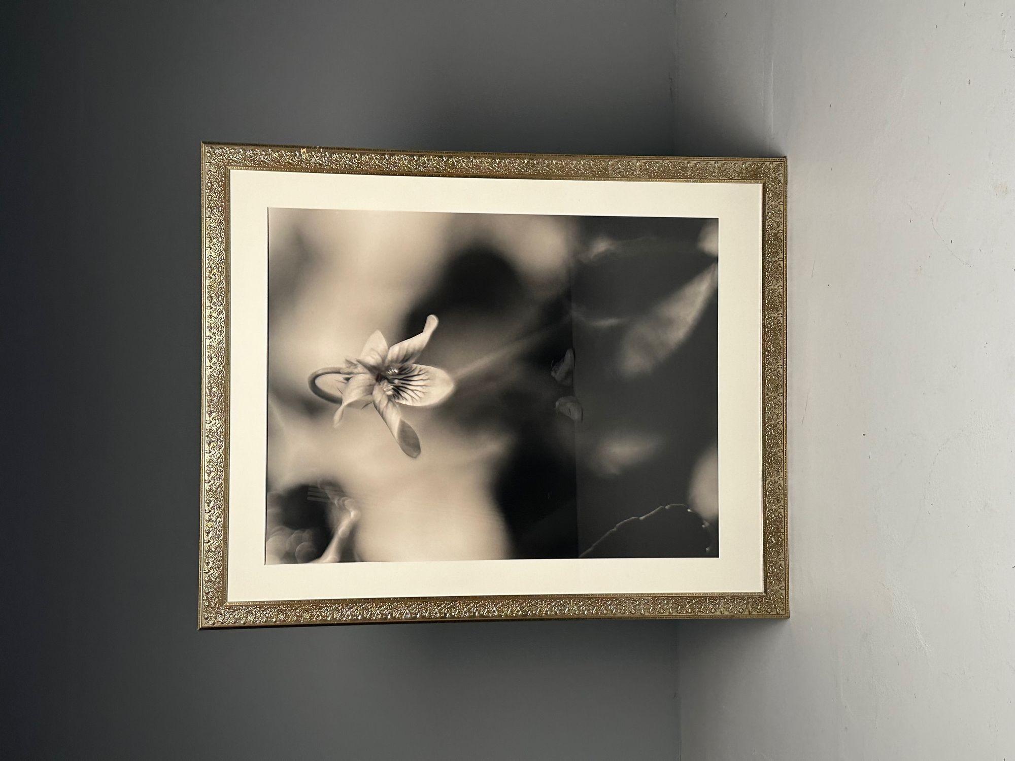 Moderne, große Schwarz-Weiß-Fotografien, Blumenstillleben, gerahmt, 1990er Jahre im Angebot 2