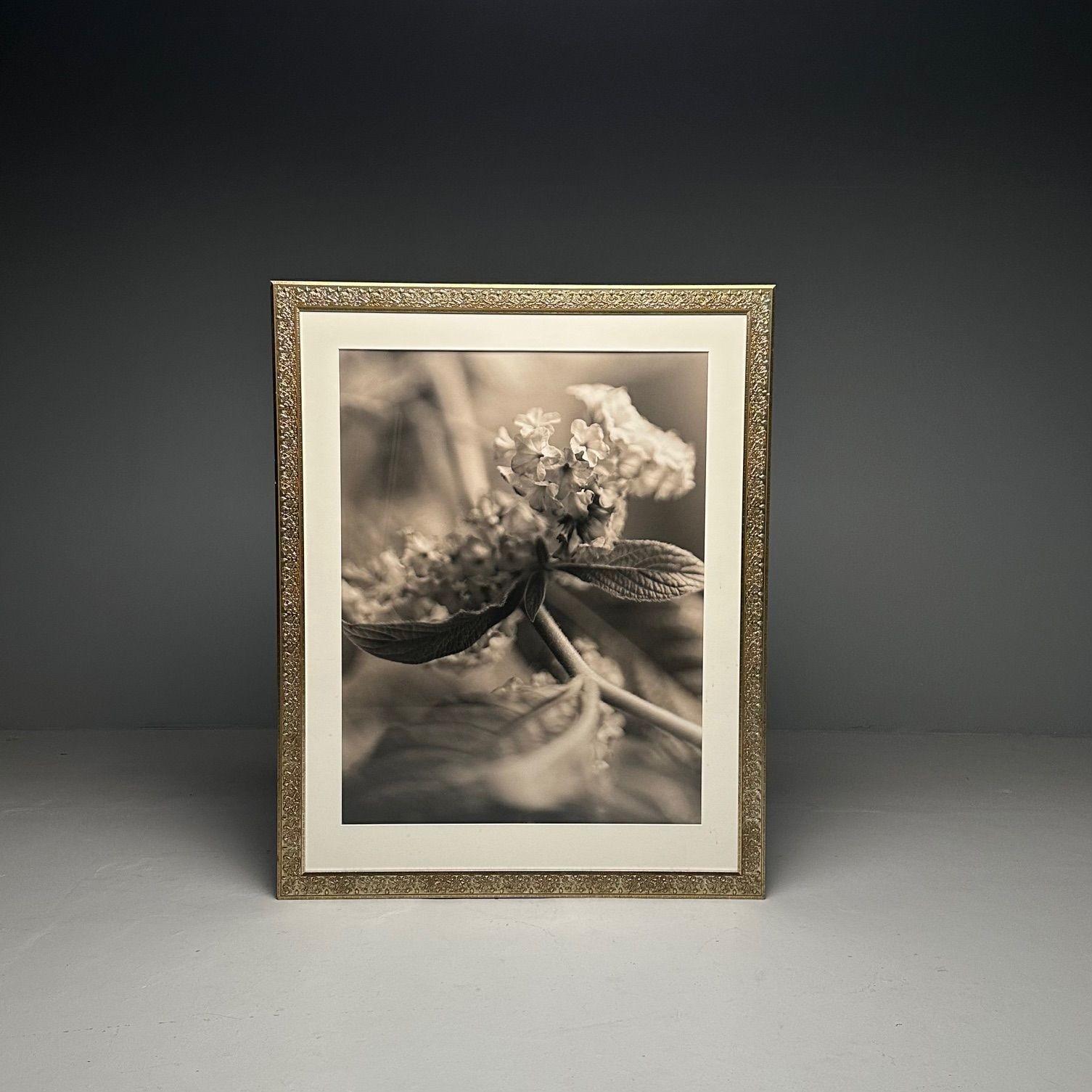 Modern, Large Black and White Photographs, Floral Still Life, Framed, 1990s For Sale 3