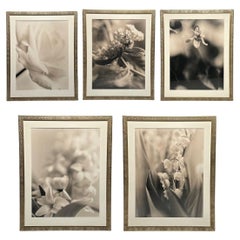 Fotografías modernas, grandes, en blanco y negro, bodegón floral, enmarcadas, años 90