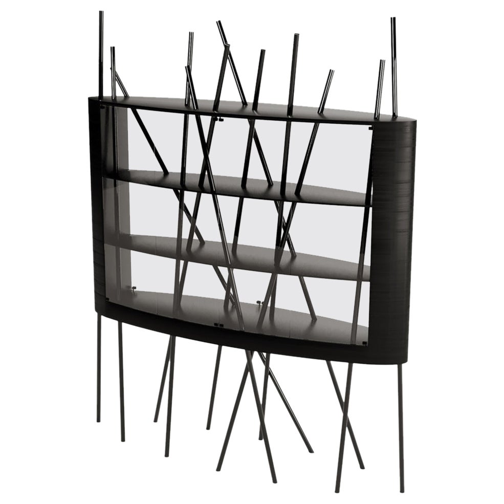 Modern Large Vitrine Display Case in Black Oak Wood and Black Lacquered Steel
