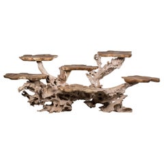 Modern Lychee Wood Hand Made Display Server Display Table Platform Indonesia