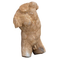 Modern Male Torso after Antiquity