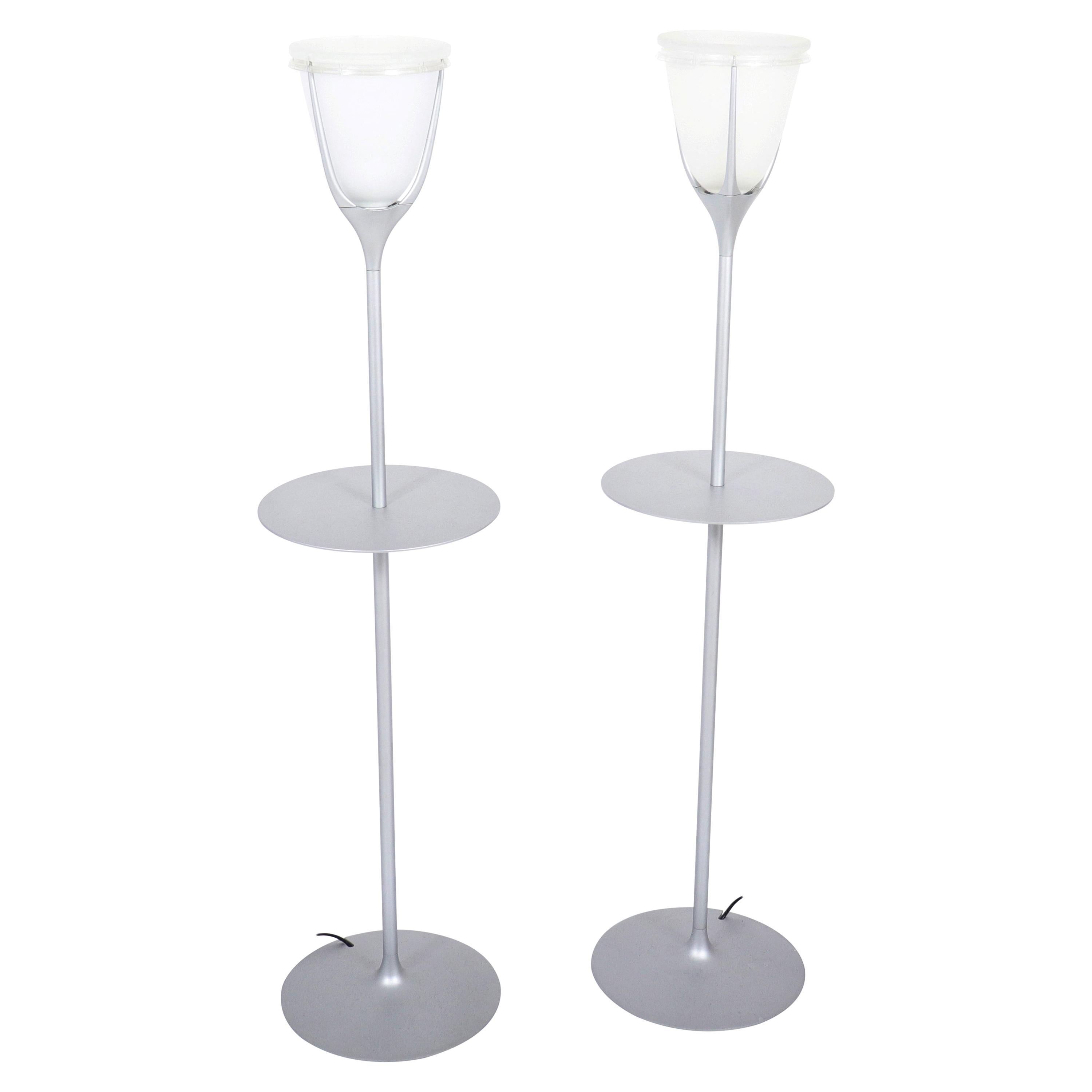 Modern Metal and Frosted Glass Floor Lamps For Sale