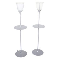 Vintage Modern Metal and Frosted Glass Floor Lamps
